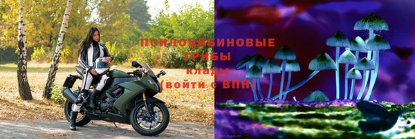 герыч Алзамай