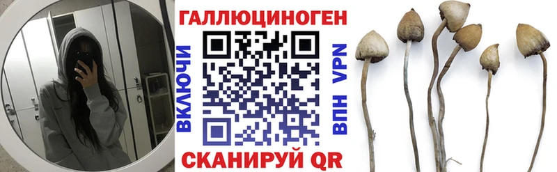 Псилоцибиновые грибы мицелий  Владимир 